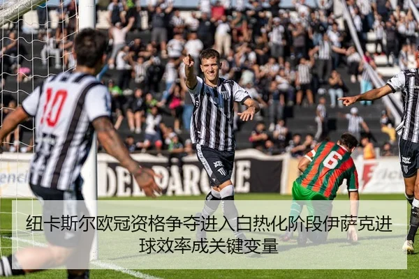 纽卡斯尔欧冠资格争夺进入白热化阶段伊萨克进球效率成关键变量