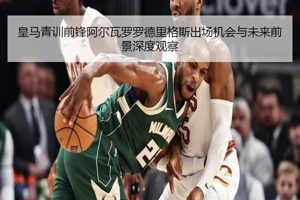 皇马青训前锋阿尔瓦罗罗德里格斯出场机会与未来前景深度观察