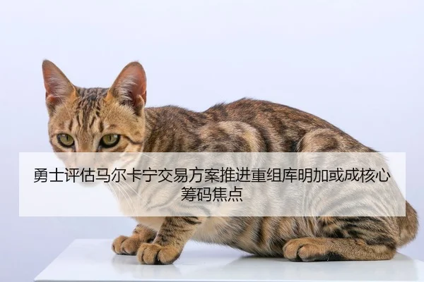 勇士评估马尔卡宁交易方案推进重组库明加或成核心筹码焦点
